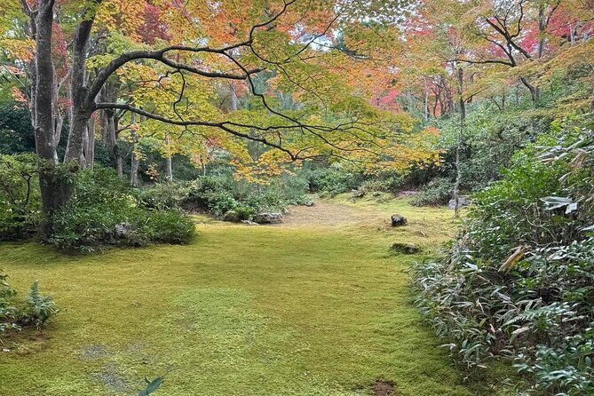 Kyoto Private & Customizable Tour with English-Speaking Driver - Detailed Breakdown of the Itinerary