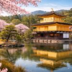 Kyoto: Private Full-Day Sakura Tour by Vehicle with Guide - Exploring Kyoto’s Cherry Blossom Hotspots