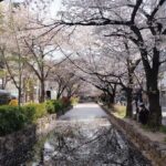 Kyoto: Private guided Tour with English speaking guide - Detailed Breakdown of the Itinerary