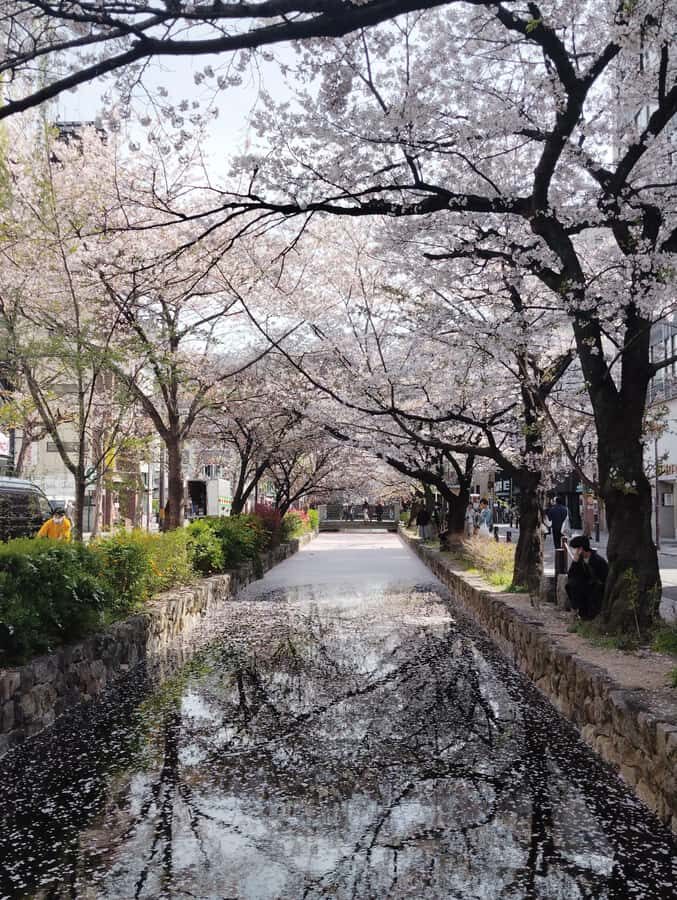 Kyoto: Private guided Tour with English speaking guide - Detailed Breakdown of the Itinerary