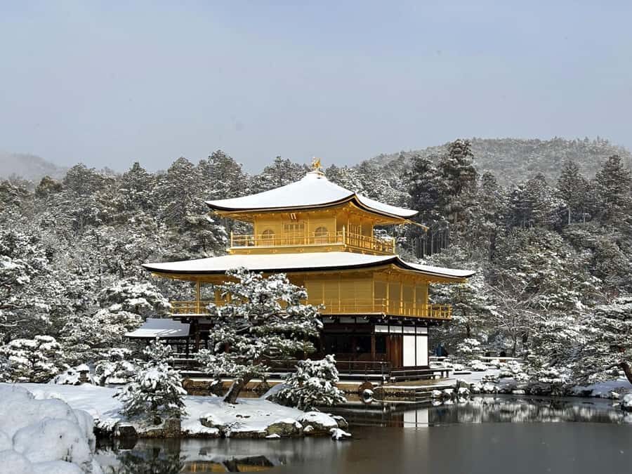 Kyoto: private Kinkaku-ji Temple Tour and Tea Ceremony - The Full Itinerary Breakdown