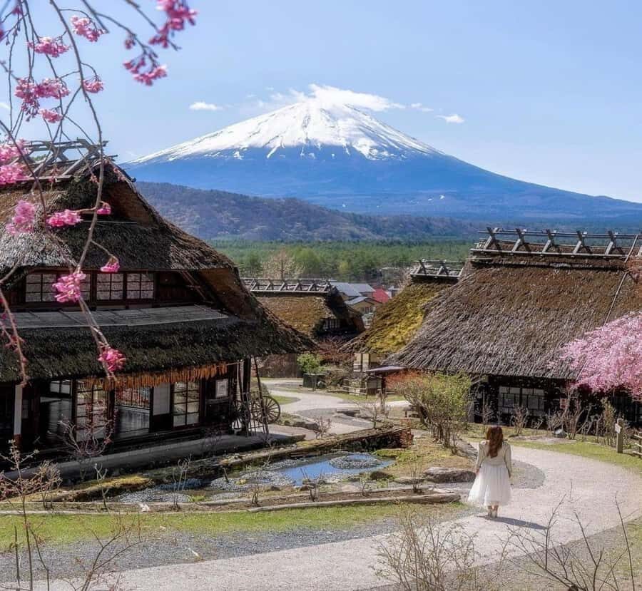 Kyoto: Private Mount Fuji & Hakone Tour with Guide - What Makes This Tour Special?