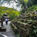 Kyoto: Private tour, Arashiyama, Bamboo Forests and Sacred Temples - Starting Point: Comfort and Convenience