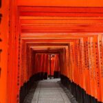 Kyoto Private Tour from Tokyo by Bullet Train | One-Way - Who This Tour Is Best For