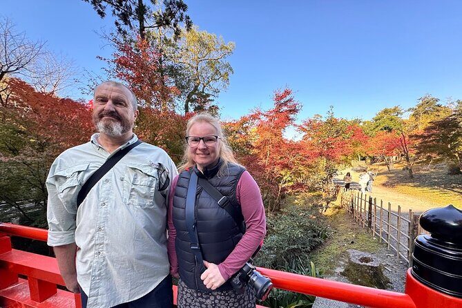 Kyoto Private Tour: One Day Highlights and Cultural Gems - Yasaka Shrine: A Festive and Sacred Space