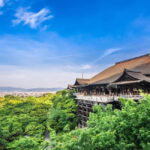 Kyoto: Private Tour with Licensed Guide & Vehicle - Who Will Love This Tour?