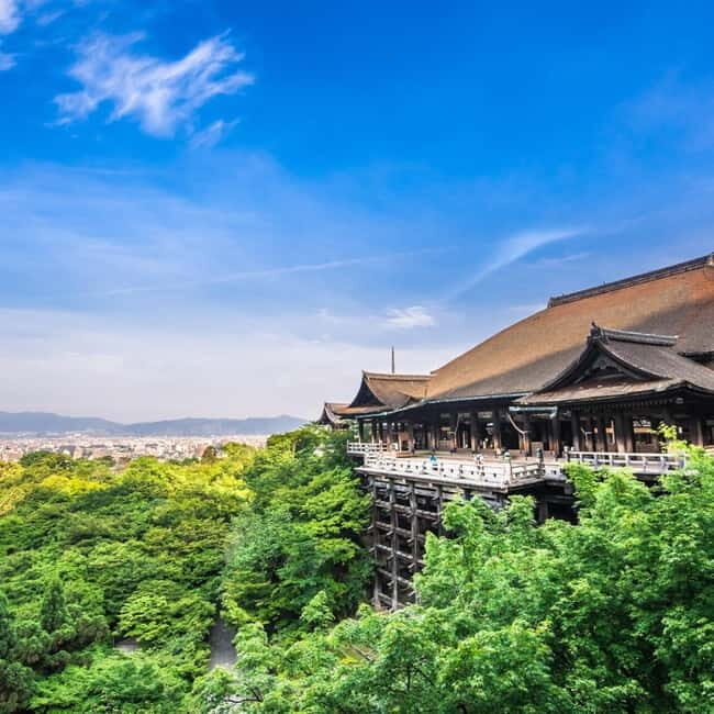 Kyoto: Private Tour with Licensed Guide & Vehicle - Who Will Love This Tour?