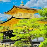 Kyoto Sakura Experience English Full Day Sightseeing Tour - What To Expect Throughout the Day