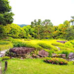 Kyoto: Serene Garden Philosophy at Murin-an with Matcha Tea - What You Can Expect from the Experience