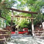 Kyoto: Serene Morning Walk in Arashiyama Bamboo Grove - In-Depth Look at the Itinerary