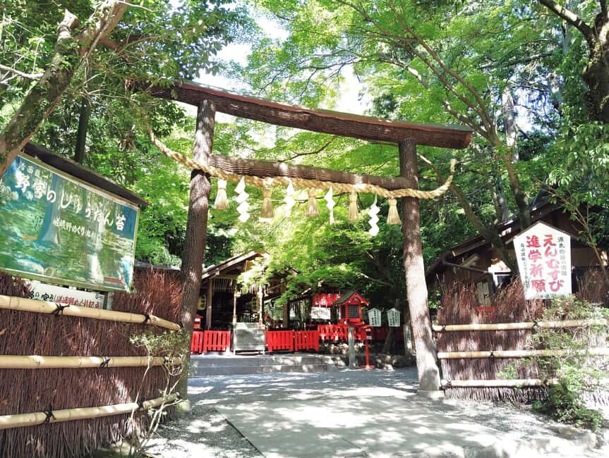 Kyoto: Serene Morning Walk in Arashiyama Bamboo Grove - In-Depth Look at the Itinerary