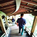 Kyoto: Serene Stroll Through Eikandos Timeless Temple Paths - Good To Know