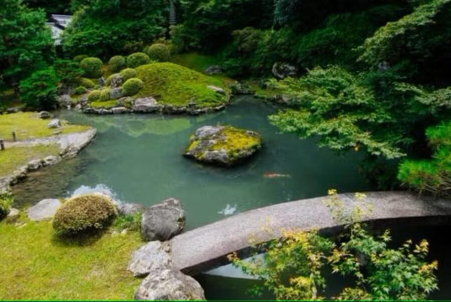 KYOTO: Sophisticated Harmony Journey: 4 Calming Scenes - A Deep Dive into the Kyoto Journey