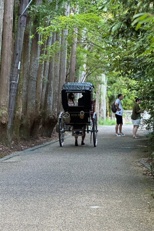 Kyoto: Stroll around the Depths of Arashiyama - Practical Details and What to Expect