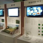 Kyoto: Tea Museum and Tsuen Teahouse Guided Tour - Who Will Love This Tour?