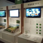 Kyoto: Tea Museum and Tsuen Teahouse Guided Tour - Why this Tour Excels