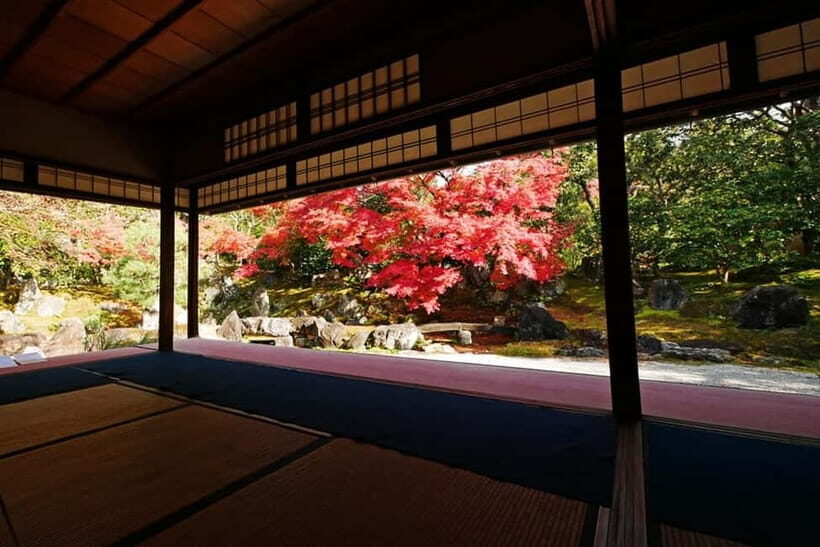 Kyoto: Timeless Kodaiji - Journey Through Historic Kyoto - Practical Details and What to Keep in Mind