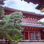 Kyoto: Zen and Tea Slow Cycling Tour with Meditation - Who Will Love This Tour?