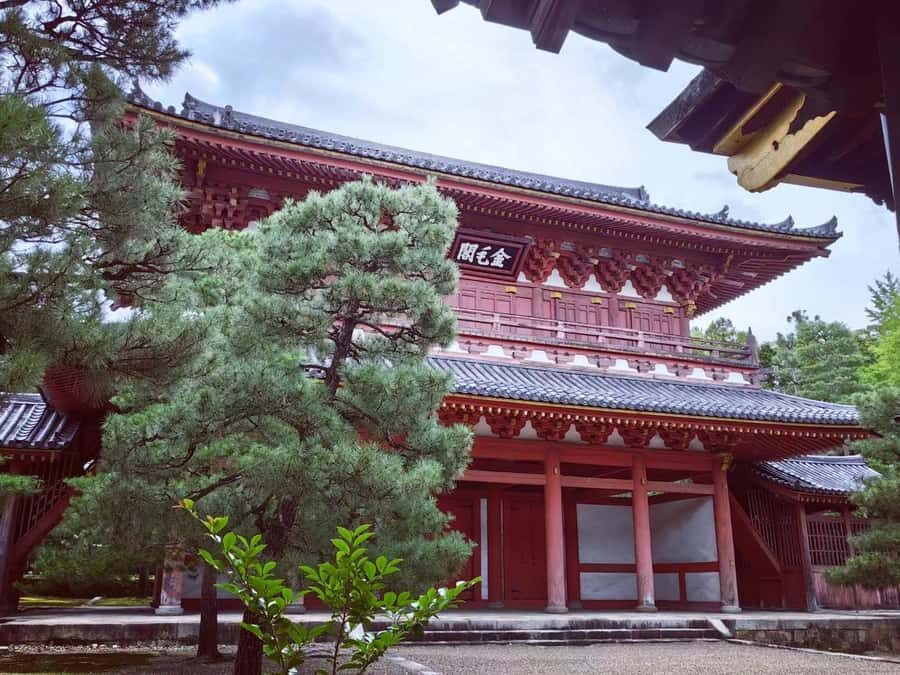 Kyoto: Zen and Tea Slow Cycling Tour with Meditation - Who Will Love This Tour?