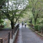 Kyoto:Philosophers Path Seasonal Walk - Who Is This Tour Best For?