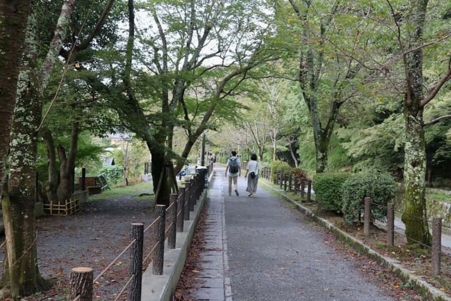 Kyoto:Philosophers Path Seasonal Walk - Who Is This Tour Best For?
