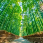 Kyotos ONLY COUNTRYSIDE E-Bike Tour with a Japanese Local! - Practical Considerations