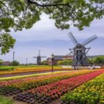 Kyushu 9-hour chartered day trip Nagasaki - Who is This Tour Best For?