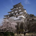 Kyushu 9-hour chartered day trip Saga - What’s Included and What’s Not?