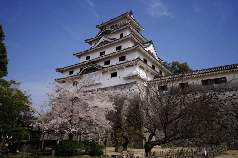 Kyushu 9-hour chartered day trip Saga - What’s Included and What’s Not?