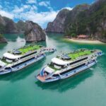 La Casta Cruise - Luxury Day Tour in Halong Bay (Expressway- Limousine) - Good To Know