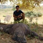 Labuan Bajo: 2D1N Komodo & Pink Beach Shared Boat Tour - The Real Deal: What’s in the Fine Print?