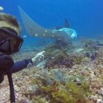 Labuan Bajo  First Dive in Komodo Sea - An Honest Look at the Labuan Bajo First Dive Experience