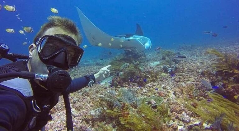 Labuan Bajo First Dive in Komodo Sea - An Honest Look at the Labuan Bajo First Dive Experience