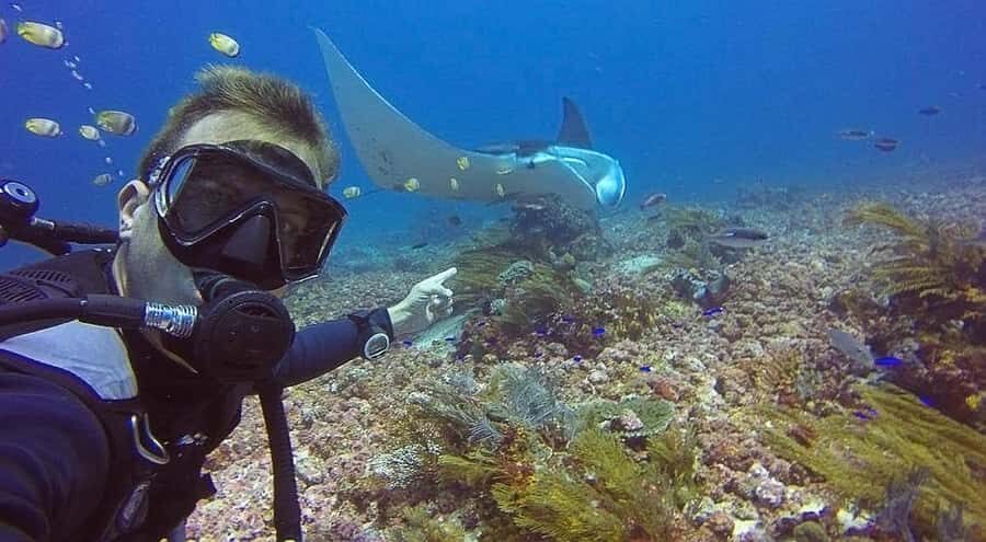 Labuan Bajo  First Dive in Komodo Sea - An Honest Look at the Labuan Bajo First Dive Experience