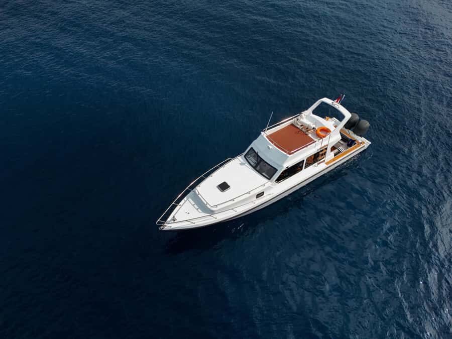 Labuan Bajo: One Day Tour to Explore Komodo National Park - What to Expect in Terms of Experience and Value