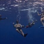 Lagoon and Marine Wildlife Tour in Moorea - What Travelers Love About This Tour