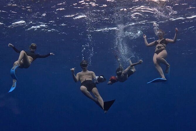 Lagoon and Marine Wildlife Tour in Moorea - What Travelers Love About This Tour