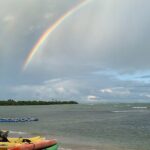Laguna Grande Night Kayaking Bio Bay - The Experience: What to Expect on the Laguna Grande Night Kayaking Tour