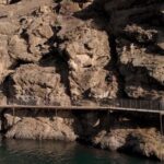 Lake Dunstan E-Bike Trail Adventure - Pricing and Value