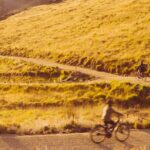 Lake Dunstan E Bike Trail Adventure - The Itinerary Breakdown