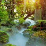 Lalita Cafe & Chiang Rai Temple(White+Blue) from Chiangmai - An Authentic Day with Chiang Rais Top Sights