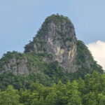 Langkawi: 3-Hour Shared Kilim Geoforest Mangrove Boat Tour - Discovering Wildlife and Ecosystem Highlights