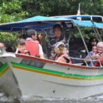 Langkawi: 6-Hour Kilim Mangrove Boat Tour w/ Lunch & Pickup - Wildlife & Environment: What Youll See