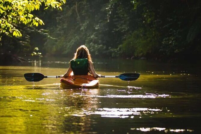 Langkawi Adventure Tour : Mangrove Kayaking with Private Pickup - Why This Tour Works for You
