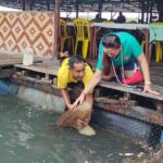 Langkawi Couples Day Tour - Mangroves, Cable Car & Watersports - Why This Tour Works for Travelers