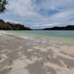 Langkawi Island Hopping Boat Tour - What Travelers Say: Authentic Perspectives