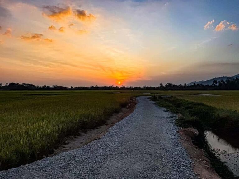 Langkawi Jungle and Waterfall Adventure (Golden Hour) - The Experience in Practice