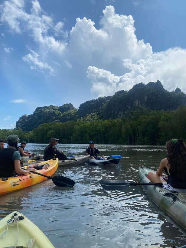 Langkawi: Kilim Karst Mangrove Kayak Adventure - An In-Depth Look at the Kilim Karst Mangrove Kayak Adventure
