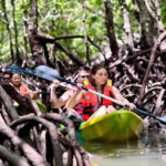 Langkawi: Mangrove Kayaking by Farly - What Sets Farly’s Tour Apart