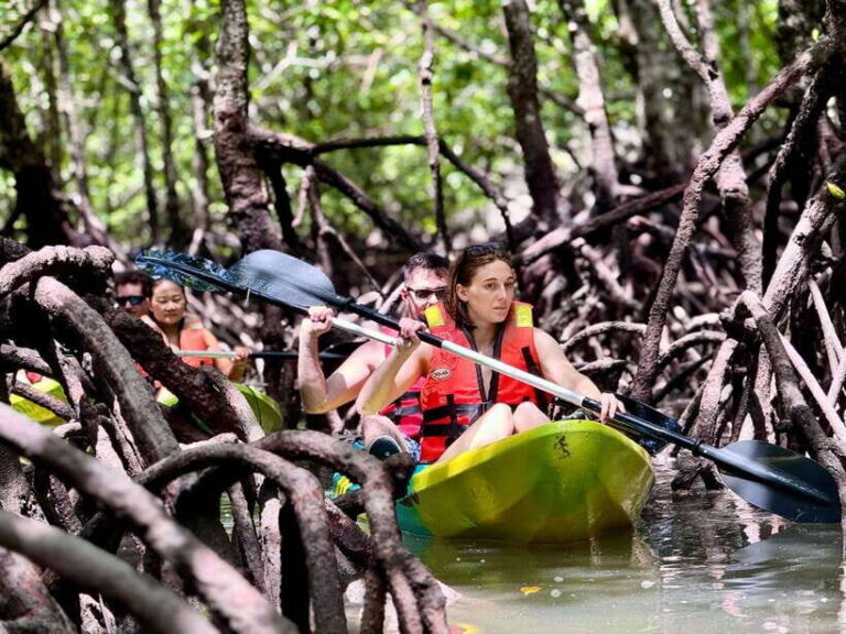 Langkawi: Mangrove Kayaking by Farly - What Sets Farly’s Tour Apart